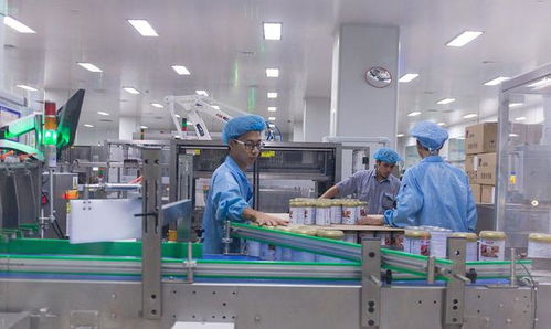 技术蓝海下的代际抉择 追梦工厂还是穿梭街头？